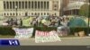 Protestat pro-palestineze përhapen në universitetet amerikane