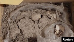 A view shows part of a flamingo fossil egg between 8,000 and 12,000 years old. It was uncovered at the construction site of the Felipe Angeles airport in Zumpango, Mexico. Photo released and distributed on Aug. 3, 2023, by Mexico's National Institute of Anthropology and History.