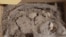 A view shows part of a flamingo fossil egg between 8,000 and 12,000 years old. It was uncovered at the construction site of the Felipe Angeles airport in Zumpango, Mexico. Photo released and distributed on Aug. 3, 2023, by Mexico's National Institute of Anthropology and History.