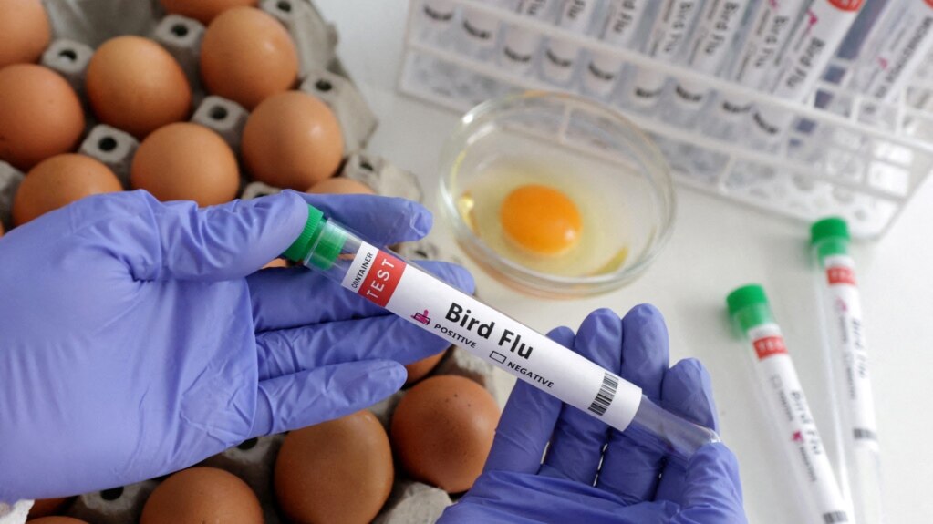 Bird Flu Spreads to More Countries