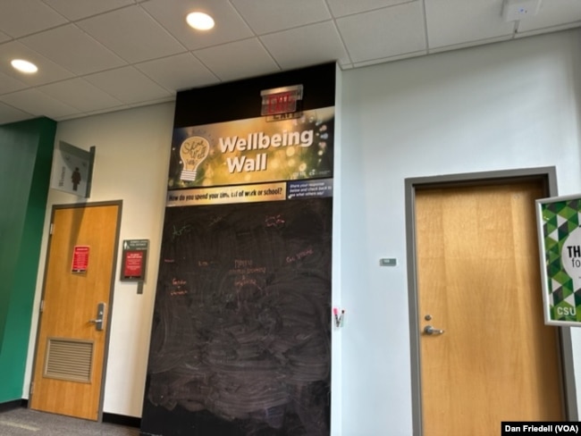 The wellbeing wall with messages from students.