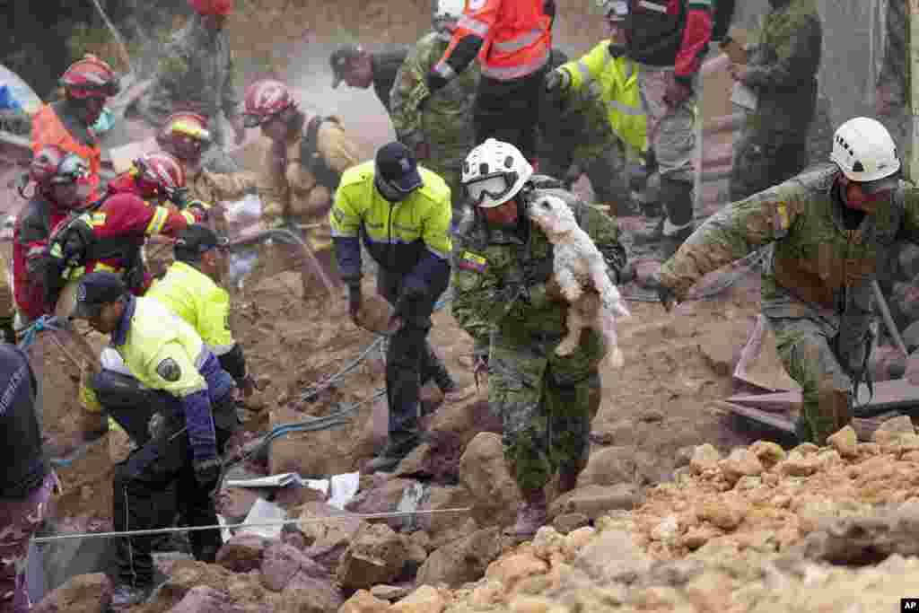 A soldier carries a dog found among the remains of buildings destroyed by a deadly landslide that buried many homes in Alausi, Ecuador, March 27, 2023.