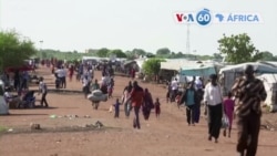 Manchetes africanas: ONU vai aumentar assistência em resposta ao aumento de refugiados do Sudão