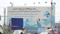 خېبر ضلعه کې په پاک افغان لویه لاره ماشومانو ته د پولیو ضد څاڅکي ورکول کیږي