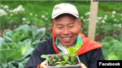 Farmer Wong Yu-wing displays vegetable seedlings. (UK branch of Euro Organic Farm/Facebook)