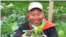 Farmer Wong Yu-wing displays vegetable seedlings. (UK branch of Euro Organic Farm/Facebook)