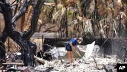 FILE - A woman digs through rubble of a home destroyed by a wildfire on Aug. 11, 2023, in Lahaina, Hawaii. 