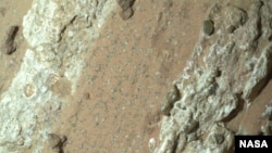 NASA’s Perseverance rover made several new discoveries the space agency says support existing evidence that ancient microbial life may have lived on Mars when the planet had running water. (Credit: NASA/JPL-Caltech/MSSS Full Image Details)