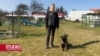 Instruktori iz BiH obučavat će ukrajinske deminere za rad sa psima koji prolaze treninge u centru kod Sarajeva