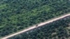 Perkebunan kelapa sawit di Kabupaten Musi Banyuasin, Sumatra Selatan, 2 Agustus 2016. (Foto: Antara/Nova Wahyudi via REUTERS)