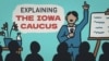 Iowa Caucus - Visual Explainer