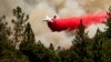 US Judge Says Fire Retardant Is Polluting Streams but Allows Continued Use 