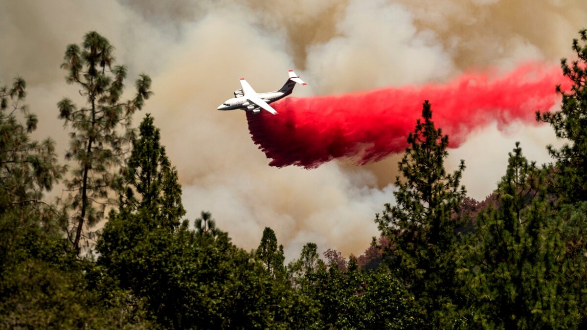 US Judge Says Fire Retardant Is Polluting Streams but Allows Continued Use - Vimarsana News