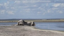 Horn of Africa Braces for Depressed Rain Season Amid Drought