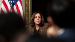 FILE - U.S. Vice President Kamala Harris speaks during a meeting in the Eisenhower Executive Office Building of the White House complex in Washington, Feb. 27, 2024.