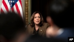 FILE - U.S. Vice President Kamala Harris speaks during a meeting in the Eisenhower Executive Office Building of the White House complex in Washington, Feb. 27, 2024.