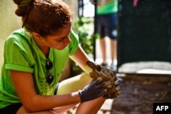 Cleopatra, a volunteer vet, examines a turtle for external wounds in Kalyvia Thorikou, Greece, Sept. 29, 2023.