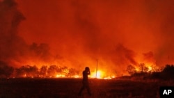 Flames burn a forest during a wildfire in Avantas village, near Alexandroupolis town, in the northeastern Evros region, Greece, Aug. 21, 2023.