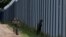 FILE - Polish soldiers patrol along a border fence on the Polish-Belarusian border, in Usnarz Gorny, Poland, Aug. 30, 2023.
