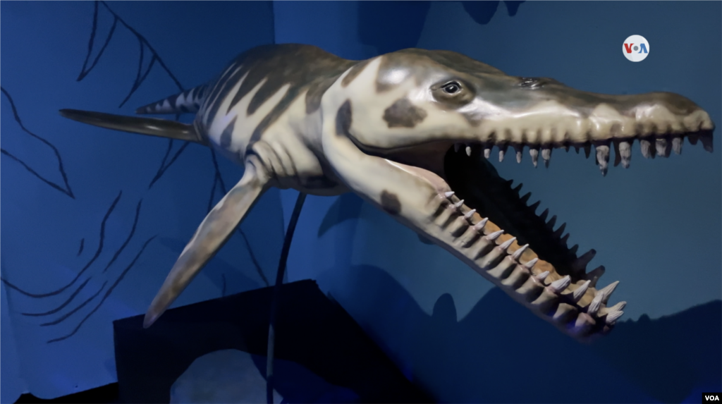 En la imagen un Kronosaurus que vivió en el Cretácico inferior en Australia y Colombia.&nbsp;