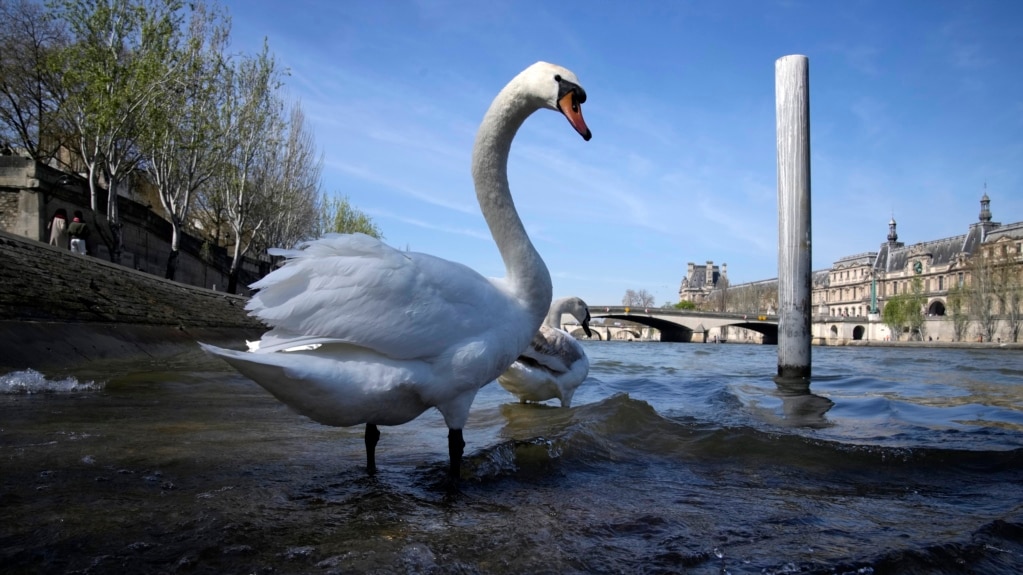 Paris’ River Seine Cleaned Up for Olympic Events