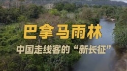 巴拿马雨林：中国走线客的“新长征”