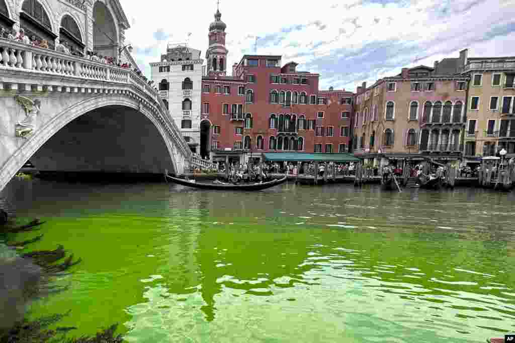 Gondolas navigate by the Rialto Bridge on Venice&#39;s historical Grand Canal, Italy, as a patch of phosphorescent green liquid spreads in it, May 28, 2023.