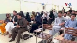 د پاکستان په پوهنتونونو کې د معاشیاتو د څانګې نصاب د نوي دور ضرورتونه نه پوره کوي: تعلیم پوهان