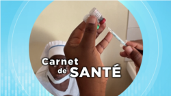 Carnet de santé : le paludisme