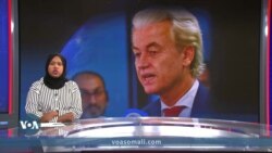 Geert Wilders oo guul qarka u saaran