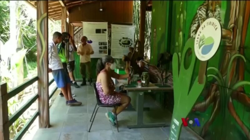 Perjalanan Charles Darwin ke Brasil