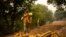 Emergency crews and firefighters are working to extinguish the fire advancing through the forest in La Orotava in Tenerife, Canary Islands, Spain, Aug. 19, 2023.