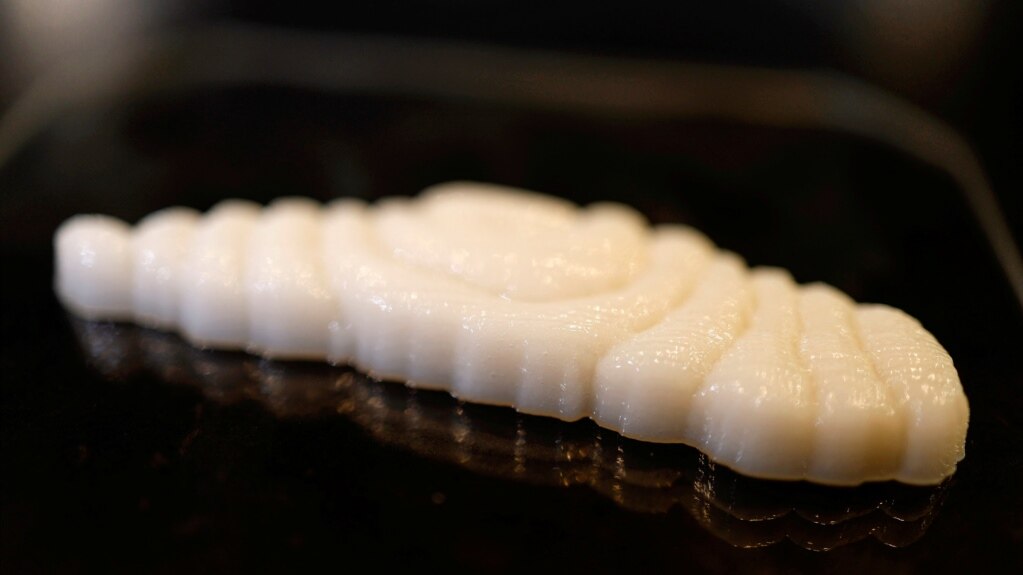 Israeli Company Creates 3D-Printed Fish