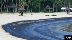 Tumpahan minyak yang terbawa arus tampak mengendap di pantai Tanjong di Pulau Sentosa, Singapora, pada 16 Juni 2024. (Foto: AFP/Roslan Rahman)