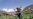 Taliban face rare public uprising against their rule in northeastern Afghanistan