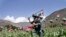FILE - An armed Afghan policemen destroys an opium poppy field in Noorgal, Kunar province, east of Kabul, April 13, 2013. 