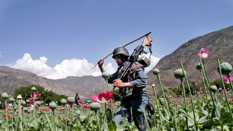 ھەموو چالاكی‌و ھەماھەنگییەكانی ھاوپەیمانان لەگەڵ پێشمەرگە دەستیپێكردووەتەوە