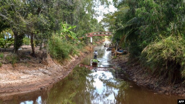Một con kênh bị nhiễm mặn ở Cà Mau, ngày 23/2/2024.