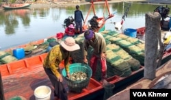 Fishermen lift fishing seafood to sell to traders in Kilo 12 village, Sangkat Koh Touch, Bokor city, Kampot province on May 26, 2024. (Kann Vicheika/VOA Khmer)