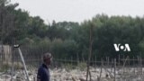 Kemarau Panjang Landa Tangerang, Ancam Nelayan & Warga