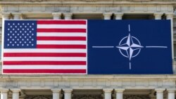 Ala Amerîka û ala NATO’yê