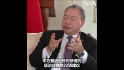 台湾驻美代表：中国“惩治台独”新规 “对台海两岸发展极为不利”