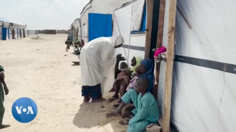 A Borno, la société civile nigériane demande aux autorités de ne pas fermer les camps des déplacés