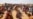 Displaced Sudanese Face Protection Crisis as War Drags On
