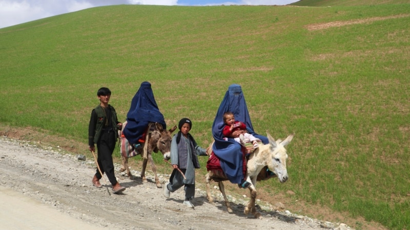 UN observes reduction in Taliban’s enforcement of hijab on Afghan women
