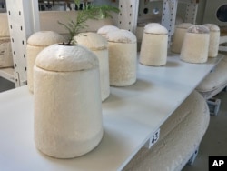 Dutch startup Loop Biotech makes cocoon-like coffins and urns designed to dissolve into the environment amid growing demand for more sustainable burial practices, in Delft, Netherlands, May 22, 2023.