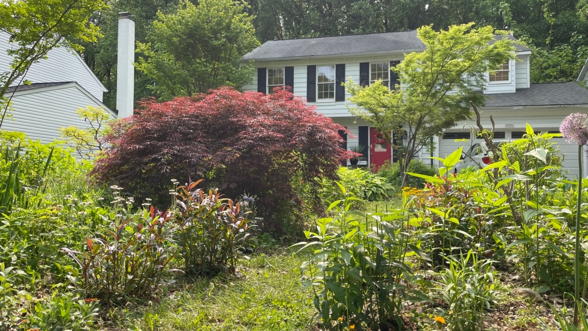 Some Americans Want Fewer Grass Lawns - Vimarsana News