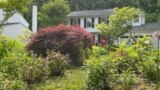 Janet and Jeffrey Crouch battled their homeowner's association for the right to keep their garden full of native plants rather than replacing them with grass, Columbia, Maryland, May 10, 2023. (VOA)