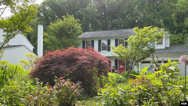 Janet and Jeffrey Crouch battled their homeowner's association for the right to keep their garden full of native plants rather than replacing them with grass, Columbia, Maryland, May 10, 2023.