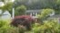 Janet and Jeffrey Crouch battled their homeowner's association for the right to keep their garden full of native plants rather than replacing them with grass, Columbia, Maryland, May 10, 2023. 